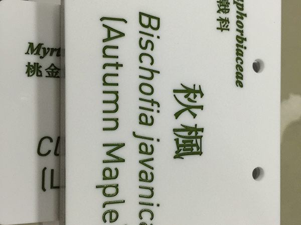 刻字填油